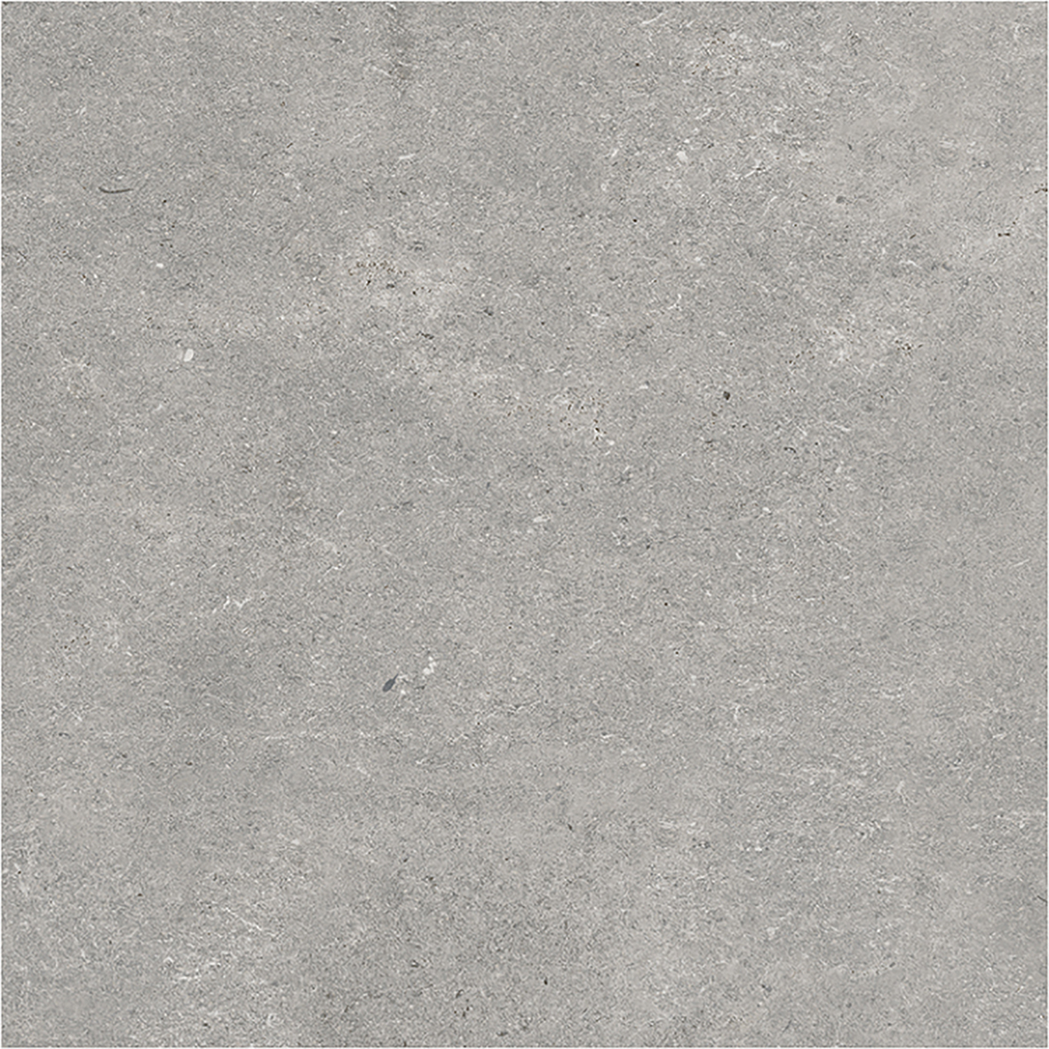 BS66J13