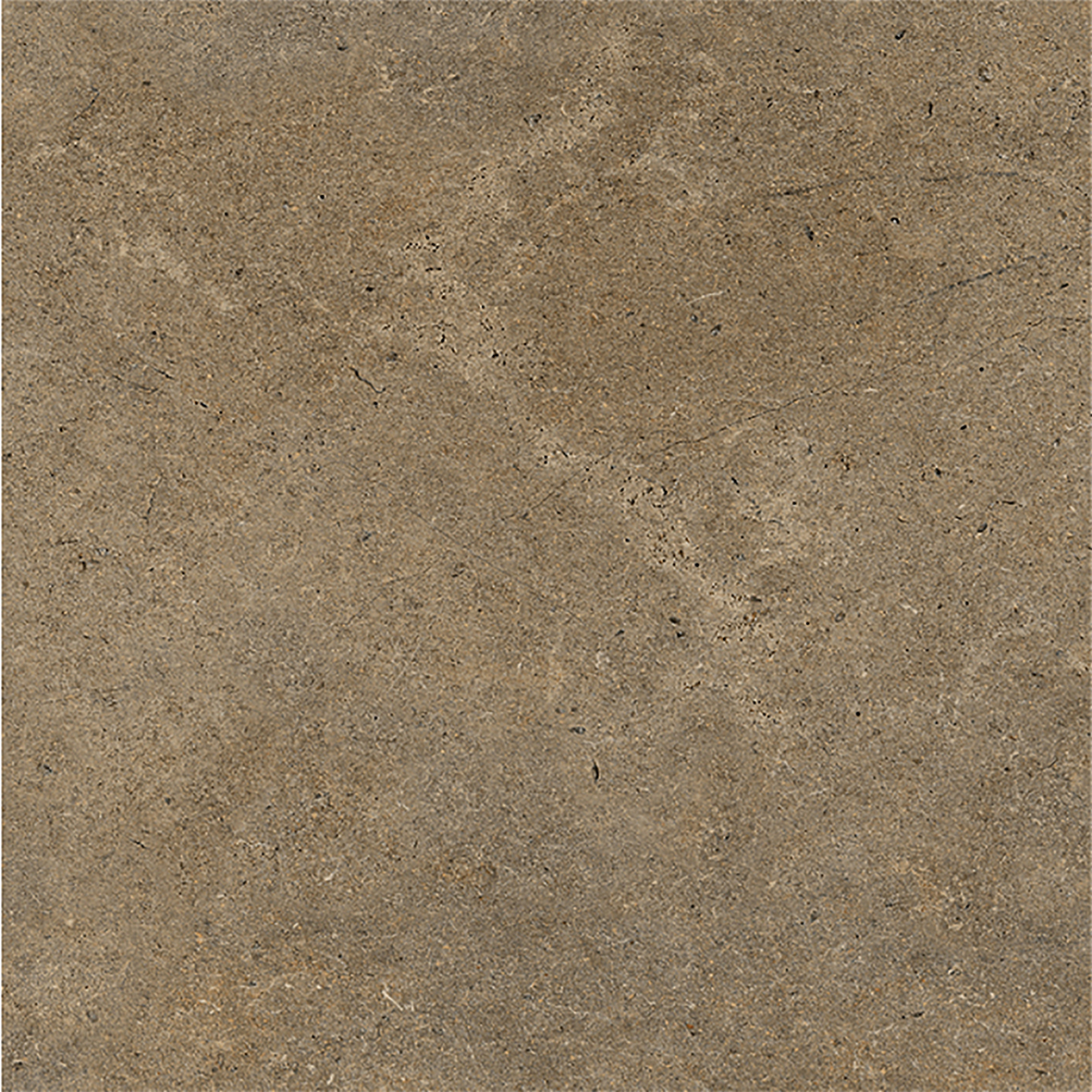 BS66J16